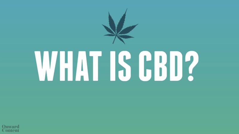 The Difference in CBD Hemp vs Marijuana Dispensary Marketing Video Content by Onward Content