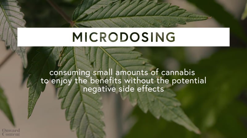 Microdosing Video Content by Onward Content