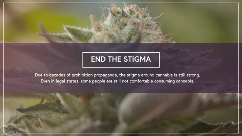Overcome the Cannabis Stigma Cannabis Education in Dispensary Marketing by Onward Content