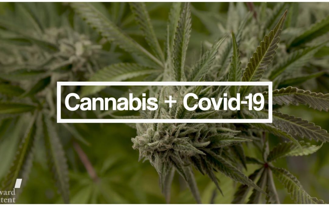 Cannabis and Coping in the Time of COVID-19