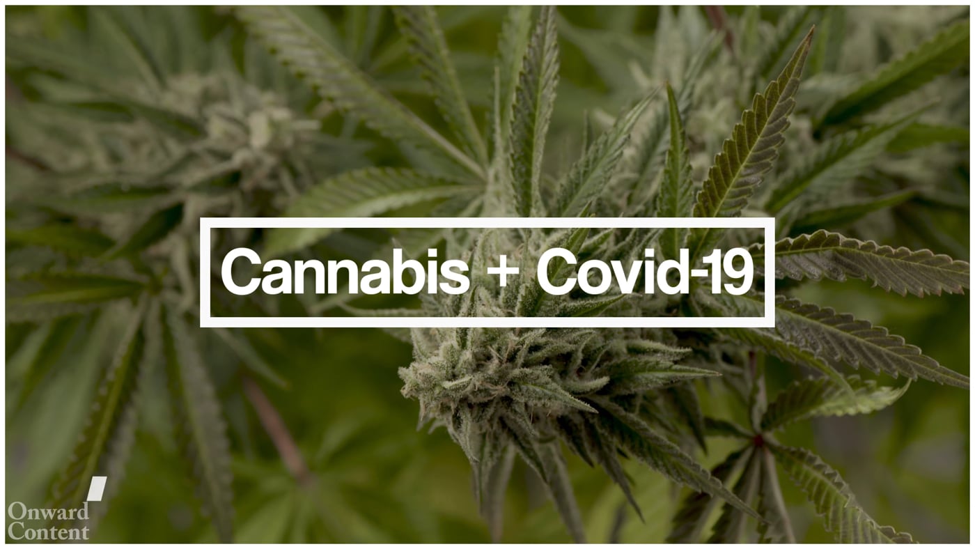 Cannabis and Coping in the Time of COVID-19